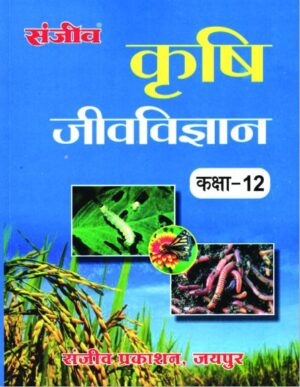 99311665035152